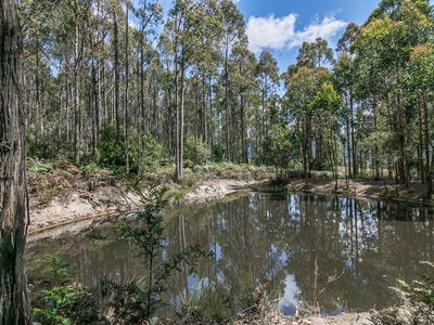 767 Lonnavale Road, Lonnavale