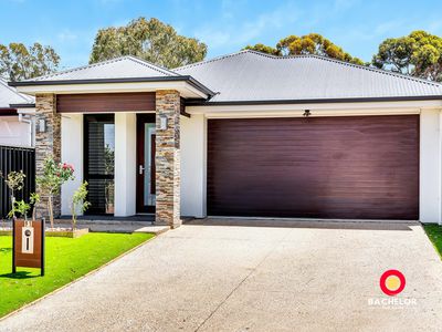 91 Solandra Crescent, Modbury North
