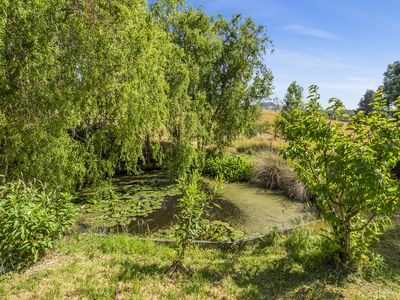 99 Britcliffes Road, Geeveston