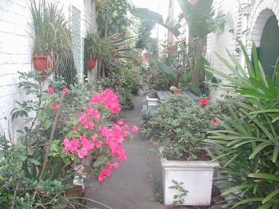 70 Thomson Street, Darlinghurst