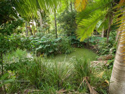 336 Stony Chute Road, Nimbin