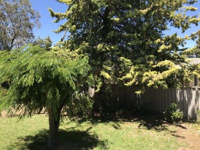 36 Linton Park Drive, Barham