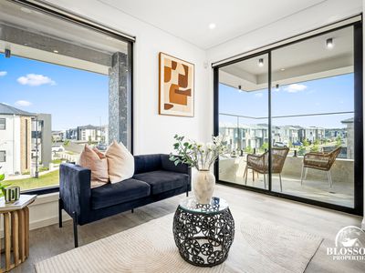 47  Feathertail Avenue, Marsden Park