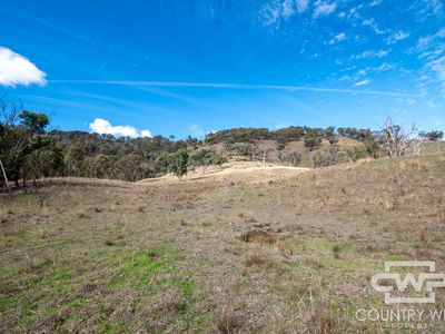 Lot 21 Halls Creek Road, Bendemeer