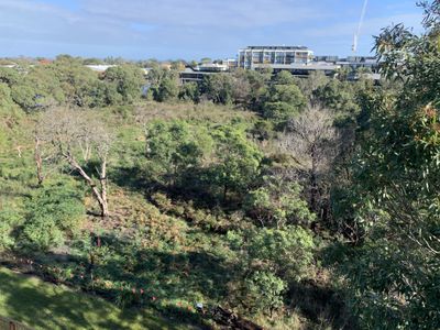 312 / 248 Bay Road, Sandringham