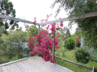 118 Godfrey Hill Road, Koorainghat