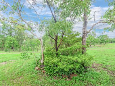 609 Reedbeds Road, Darwin River