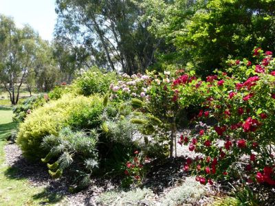 Tocumwal