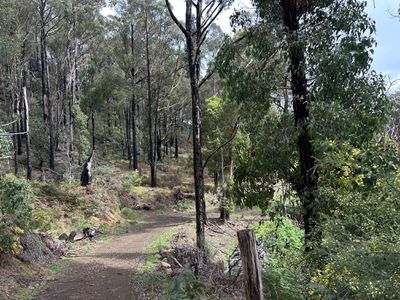 Lot 1, Sunny Hills Road, Glen Huon