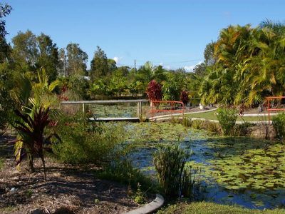 25 Craigslea Ct, Cooroibah