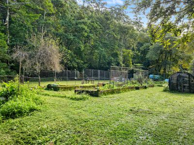 476 WALLACE ROAD, Terania Creek