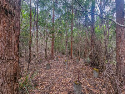 Lot 1, Link Road, Lonnavale