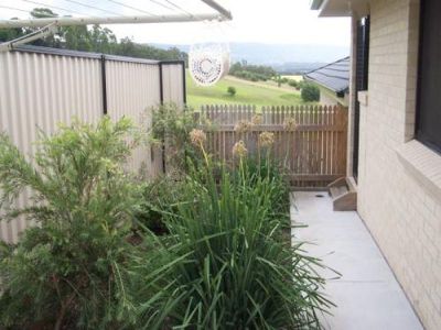 Blackbutt