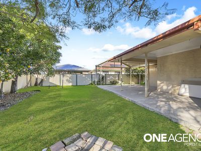 94 Buddleia Street, Inala