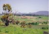 Lot 2 Icely Road, Orange