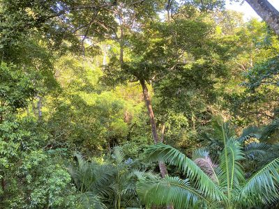 20 Rainforest Street, Cooktown