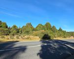 891 Waratah Road, Waratah