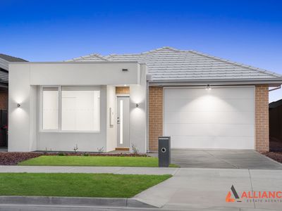21 Cheddar Street, Donnybrook