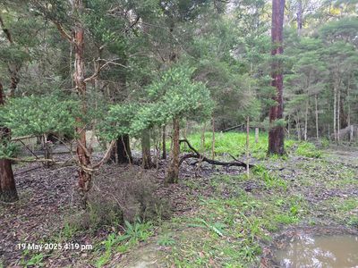 151 Inglewood Crescent, Tomerong