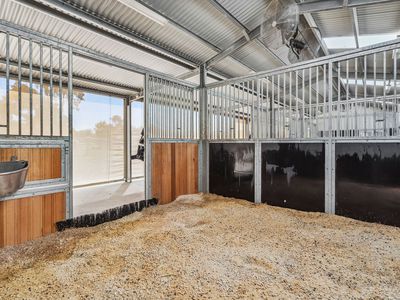 12-20 Avila Road, Curlewis