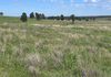 117 HILLSIDE LANE, Daroobalgie