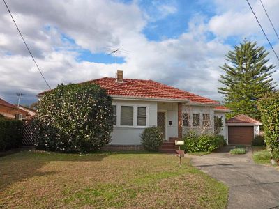 41 Berrille Rd, Narwee