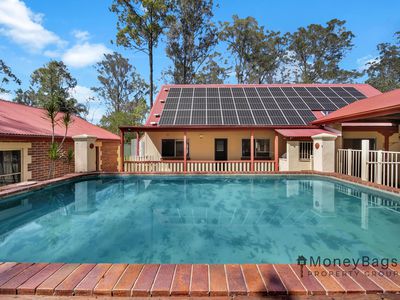 56 Marjorie Court, South Maclean