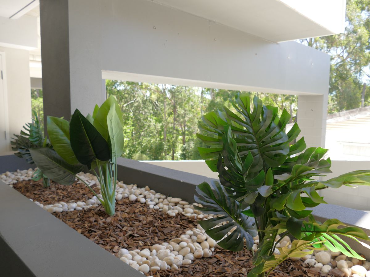 3 / 110 Nicholson Street, Greenslopes