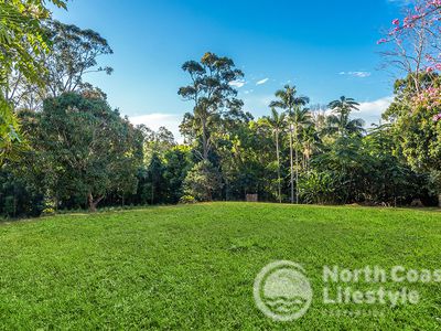 20 Azalea Street, Mullumbimby