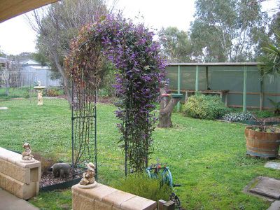 31 EBDEN STREET, Heathcote
