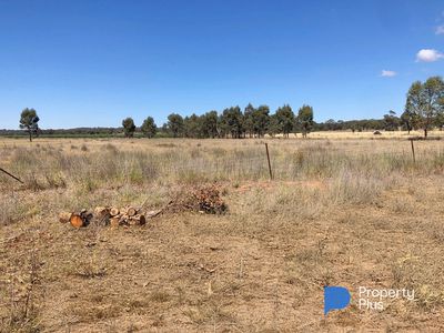 Lot 38, Calder Highway, Wedderburn