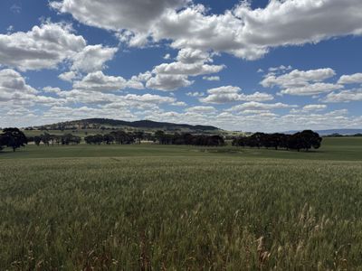 798 Bethel Road, Glenellen