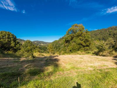 399 Bishops Creek Road, Coffee Camp
