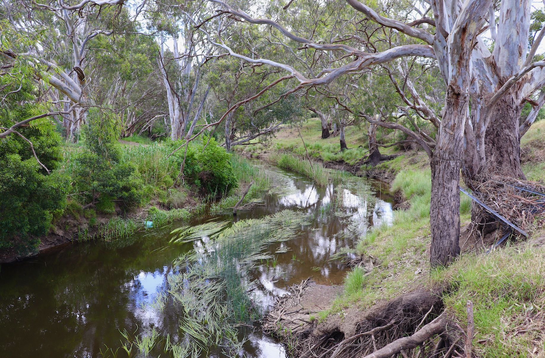 Lot 10, Cambridge Street, Inverleigh