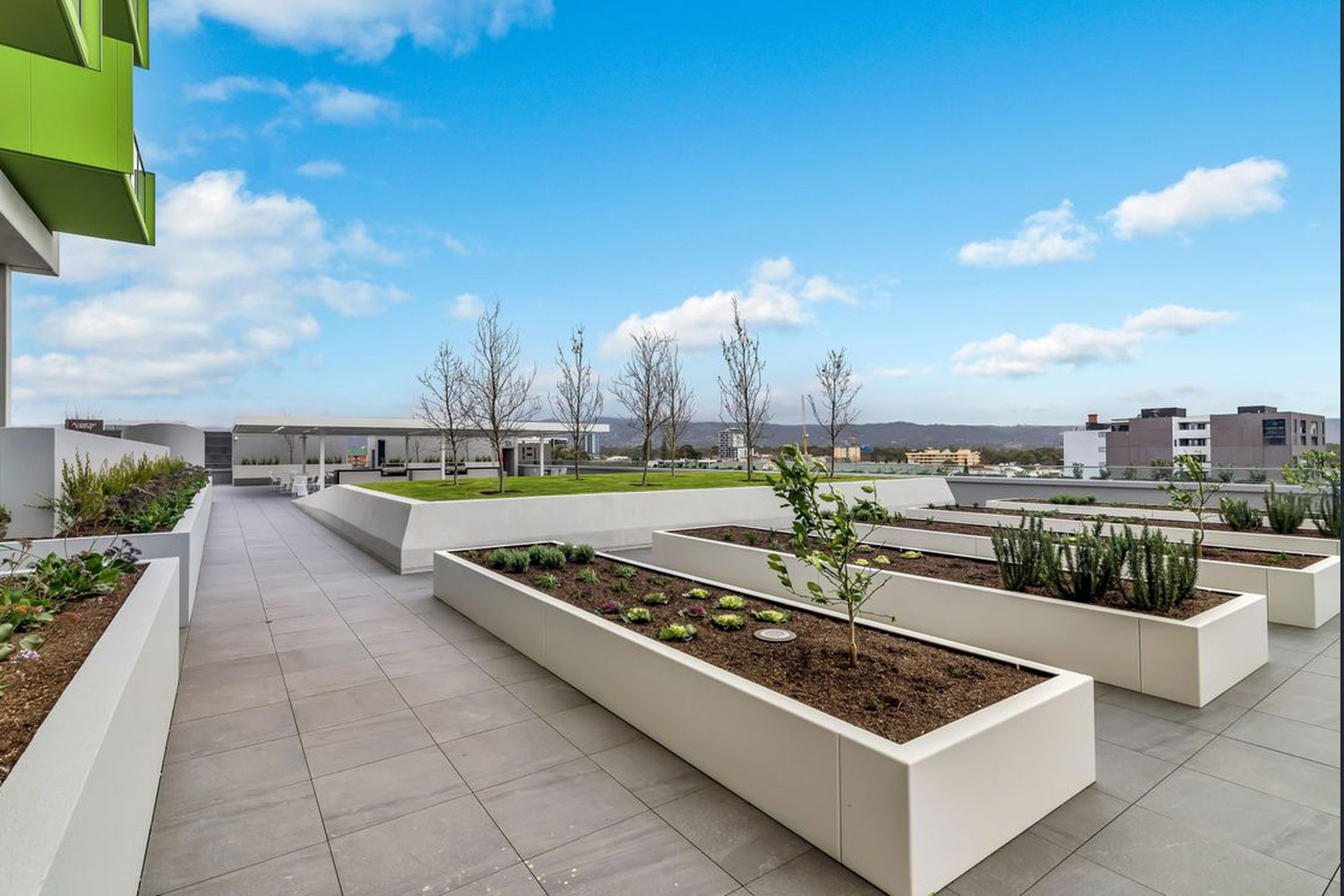 2307 / 29 Angas Street, Adelaide