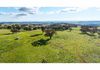 60 Bunyarra Lane, Orange