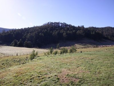 29 Kalonga Road, Nicholls Rivulet
