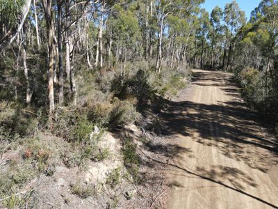 164 Smiths Road, Moogara