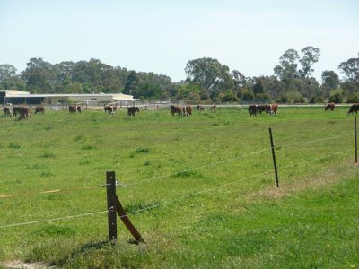 52 Grigg Road, Koondrook