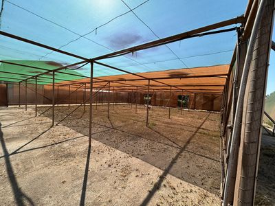 34 Pinnacles Steet, Wedgefield