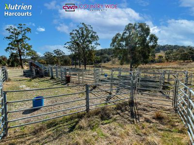 668 Ten Mile Road, Deepwater