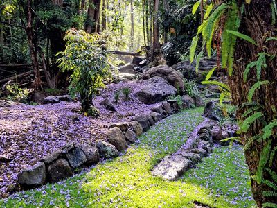 771 Left Bank Road, Mullumbimby Creek