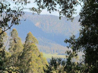 Halls Track Road, Pelverata