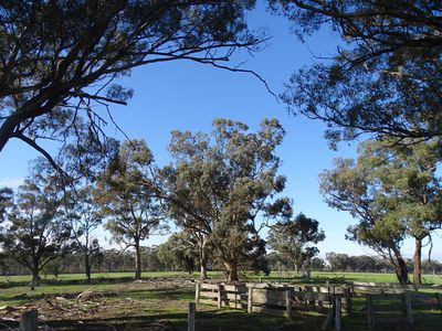 351 Tattersalls Lane, Moormbool West