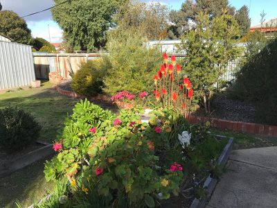 39 Noorong Street, Barham
