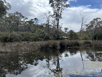 230 Randalls Bay Road, Randalls Bay