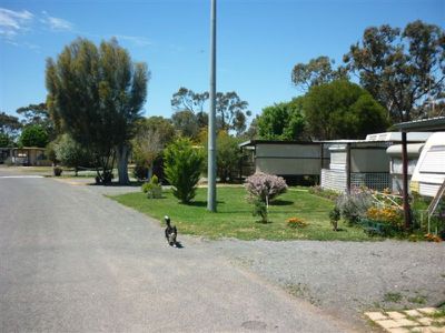 2 Corack Road, Donald