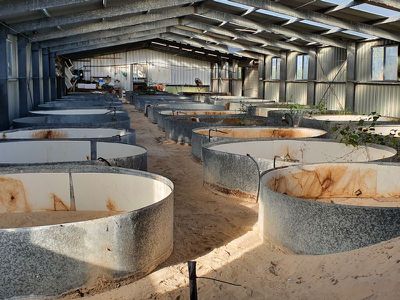 1149A Bog Lane, Robe