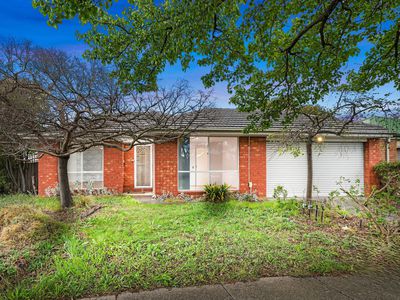 53 William Wright Wynd, Hoppers Crossing