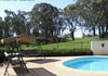 386 Cargo Road, Orange